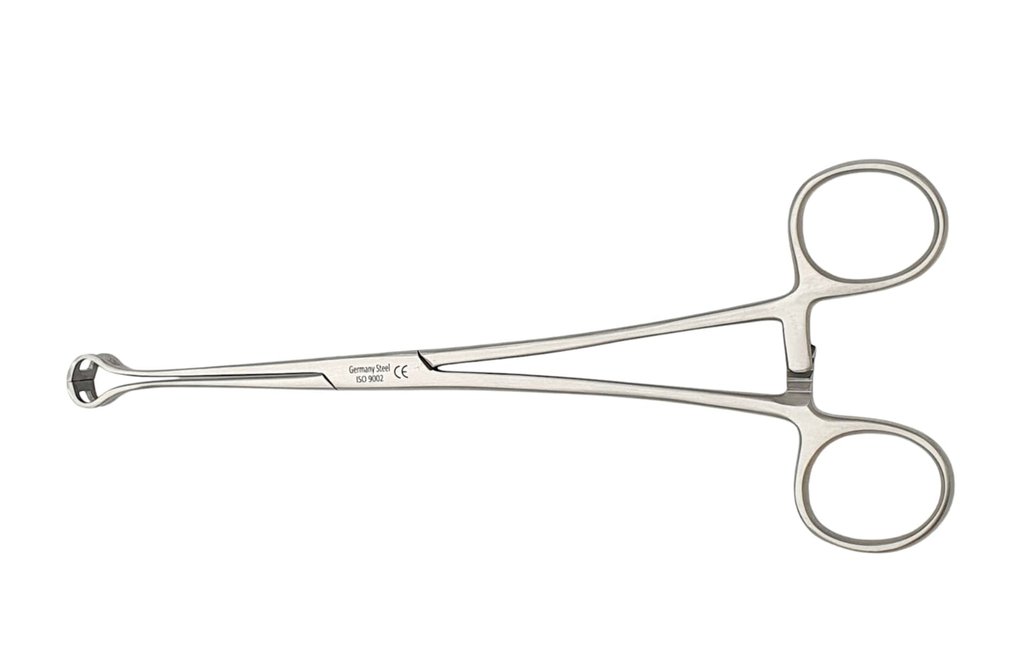 Pinza babcock 20cm. - Acero alemán