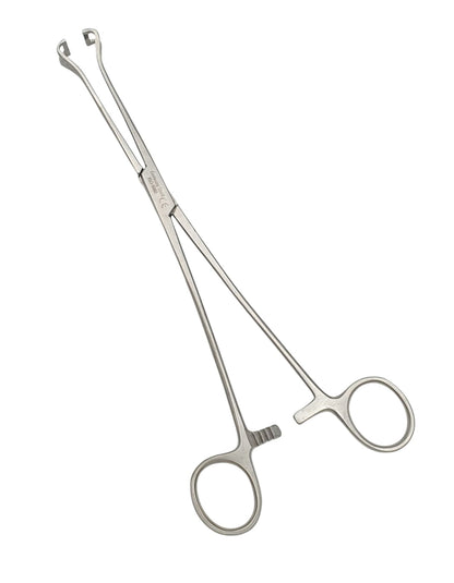 Pinzas babcock 23cm. - Acero alemán