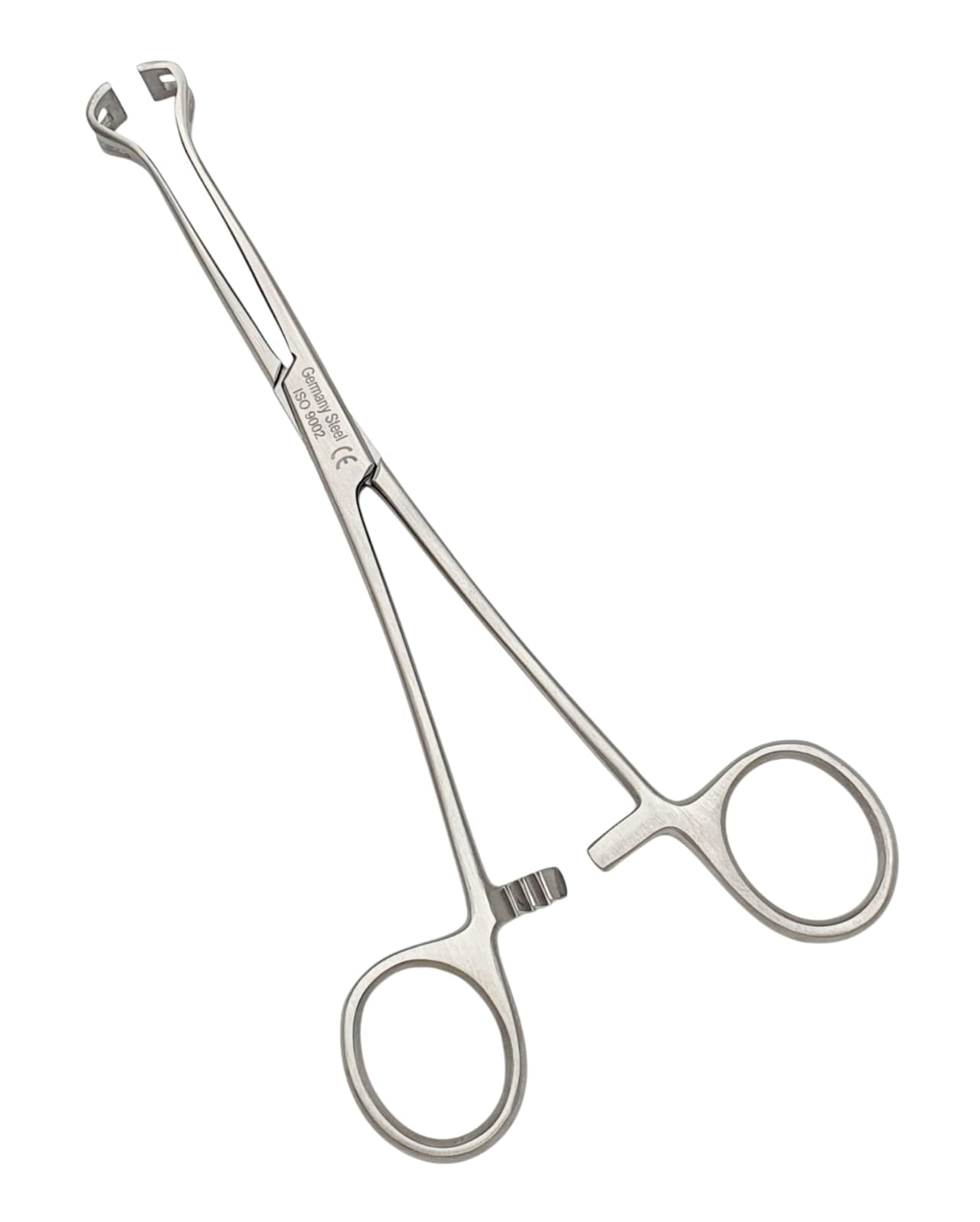 Pinza babcock 18cm. - Acero alemán