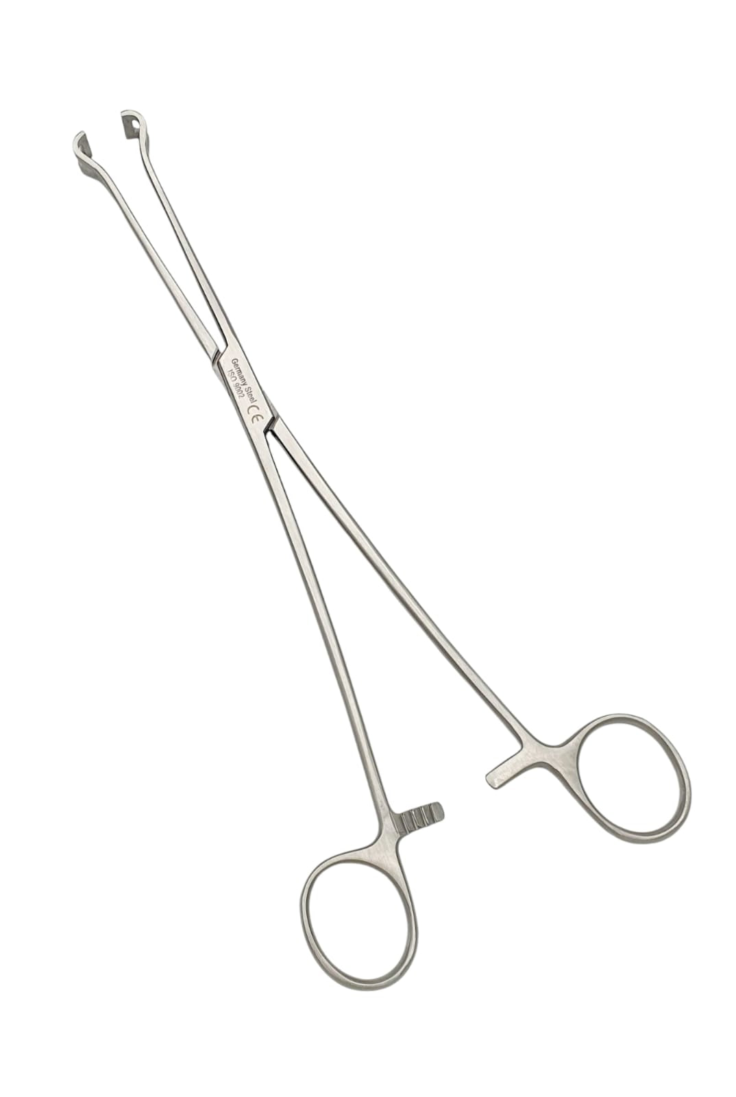 Pinza babcock 25cm. - Acero alemán