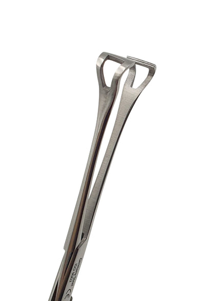 Pinza babcock 20cm. - Acero alemán