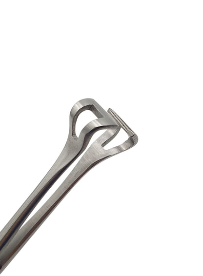 Pinza babcock 18cm. - Acero alemán